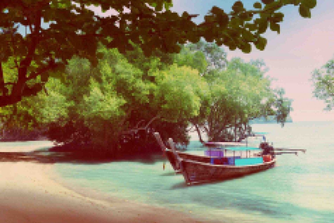 tree-in-water-and-long-boats.jpg